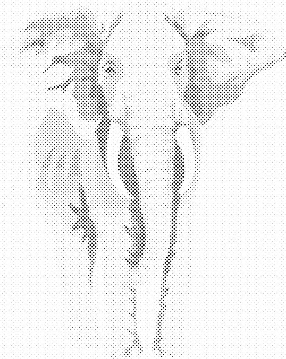Rosa Elefant - Dottingo