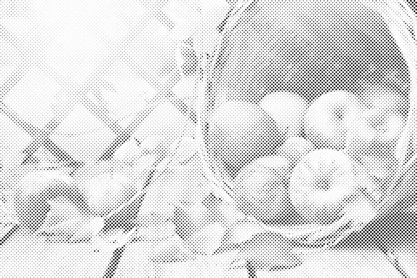 Äpfel in einem Korb - Dottingo