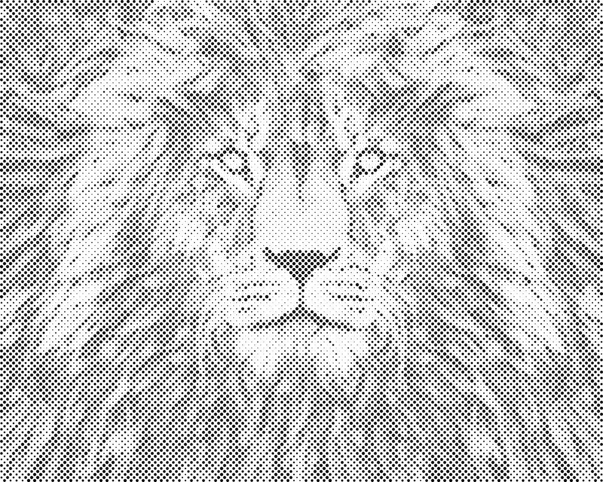 Der Blick des Löwen - Dottingo