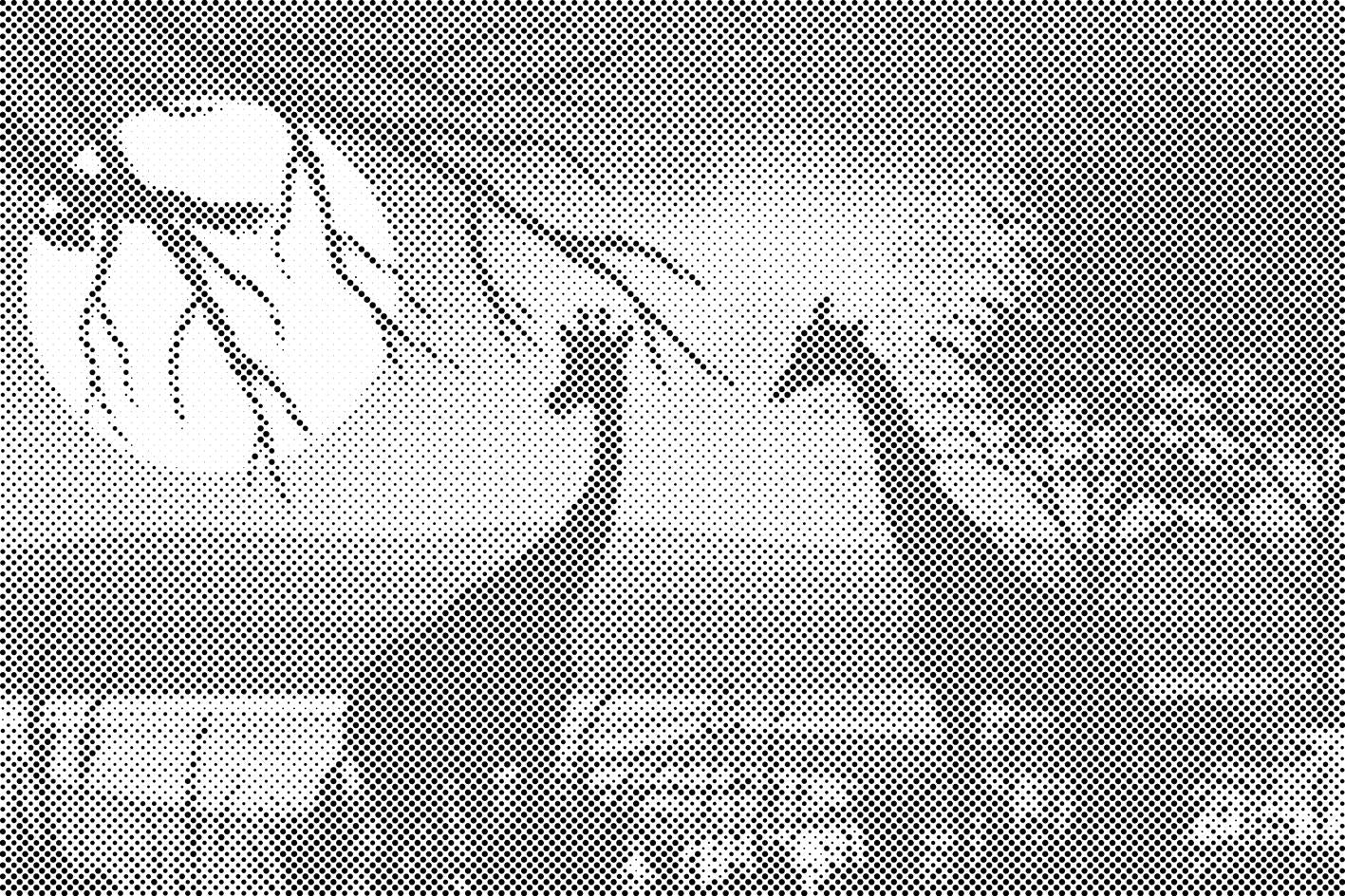 Giraffen in Afrika - Dottingo