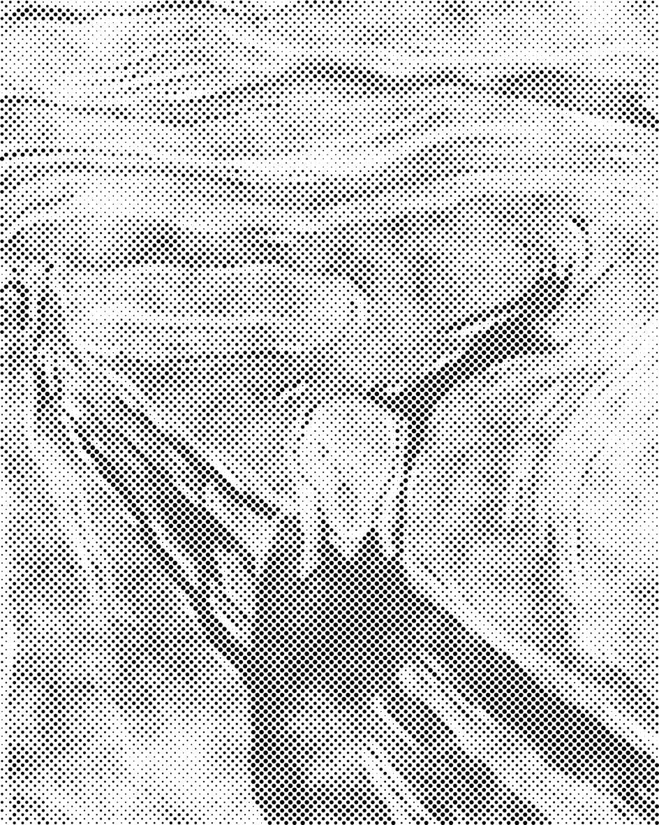 Edvard Munch - Schrei - Dottingo