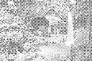 Liebesnest - Dottingo