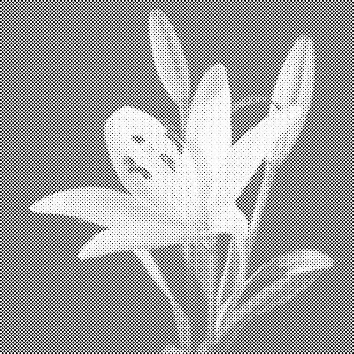 Lilie - Dottingo