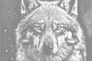 Wolfsgesicht - Dottingo