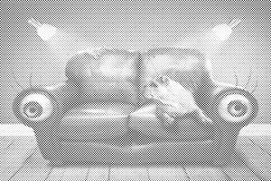 Couch Hund - Dottingo