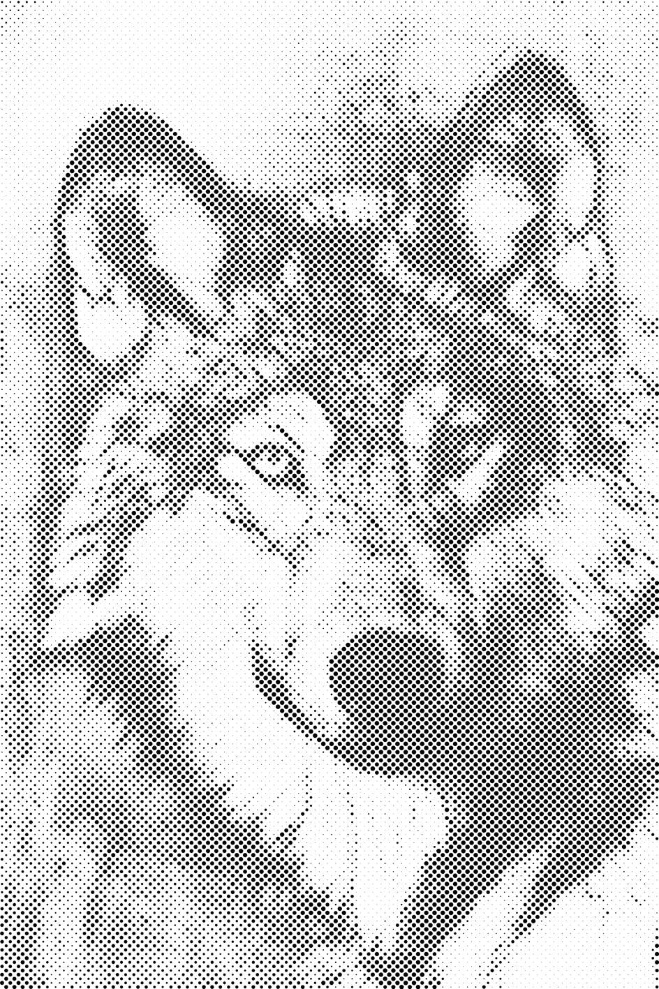 Abbildung eines Wolfes - Dottingo