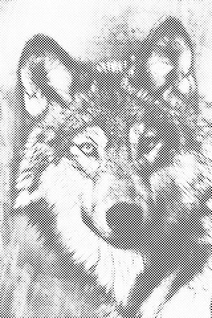 Abbildung eines Wolfes - Dottingo