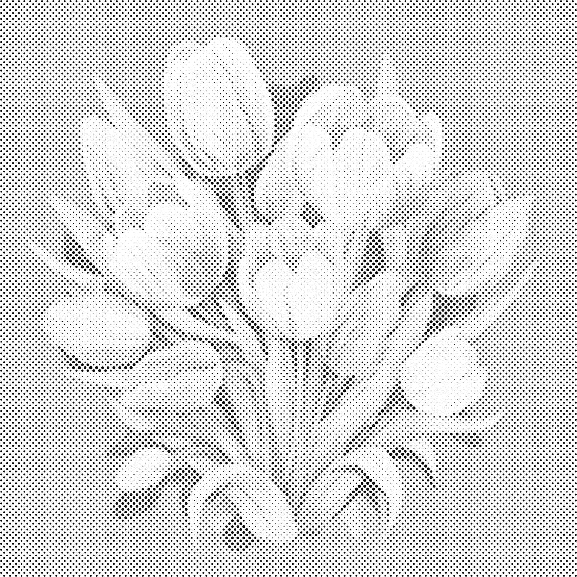 Tulpenstrauß - Dottingo
