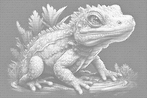 Leguan - Dottingo