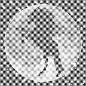 Silhouette eines Pferdes auf dem Mond - Dottingo