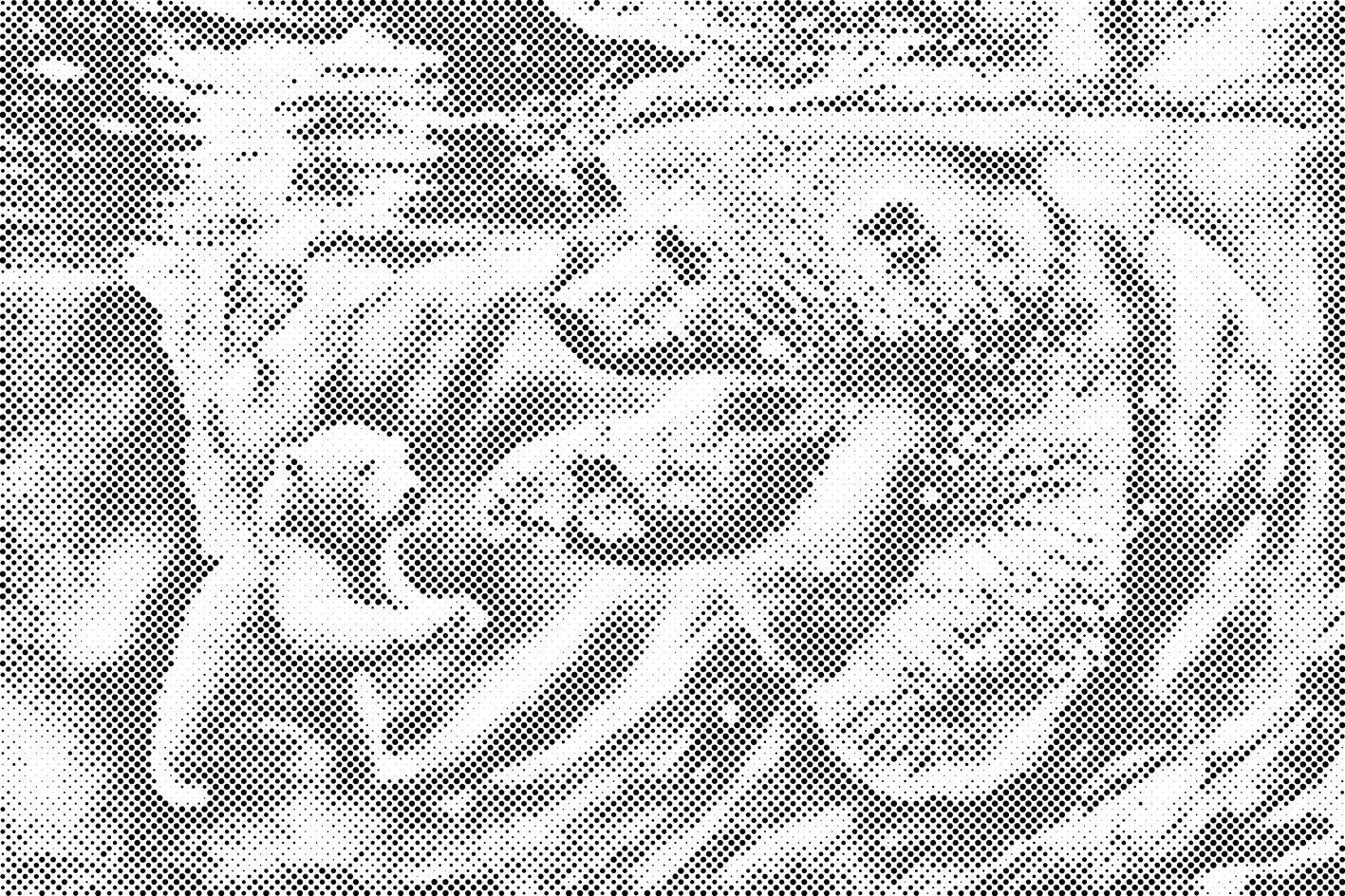 Eisbär im Wasser - Dottingo