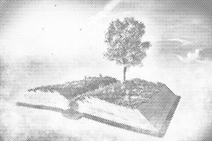 Buchen Sie in den Wolken - Dottingo