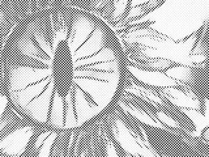 Abstrakte Blume - Dottingo