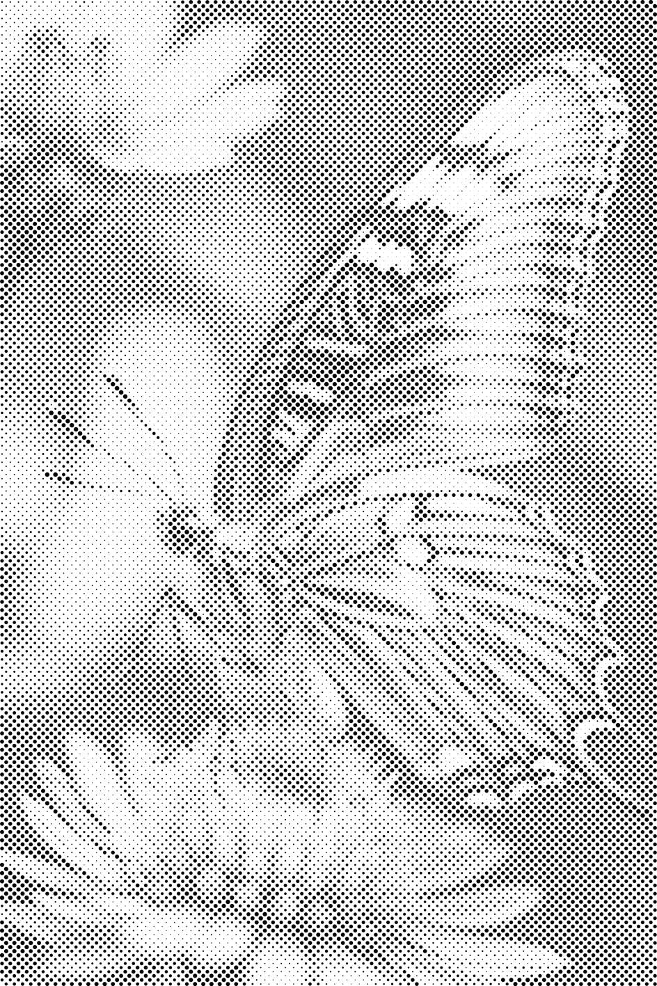Schmetterling auf einer Blume - Dottingo