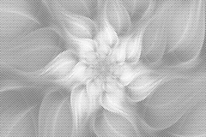 Lavendelblüte - Dottingo