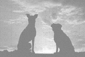 Hundefreunde - Dottingo
