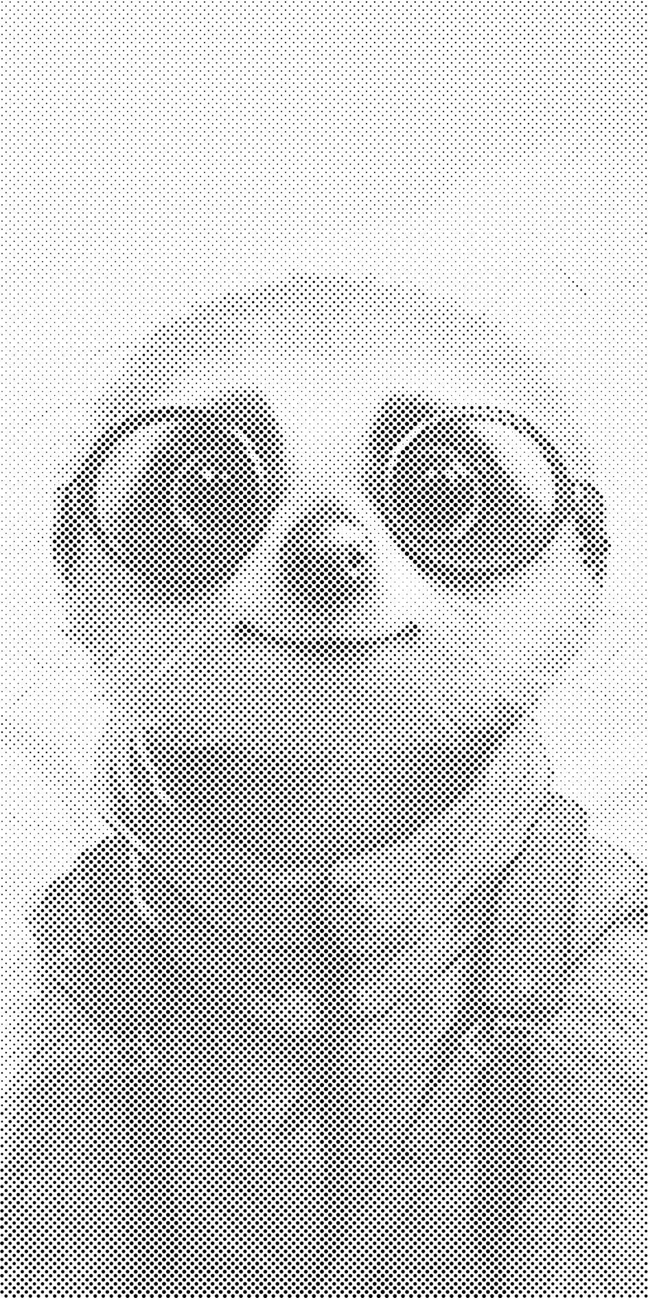 Erdmännchen mit Brille - Dottingo
