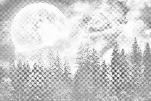 Erfüllung über den Wald - Dottingo