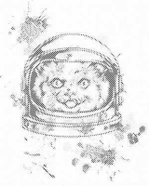 NASA Katze - Dottingo