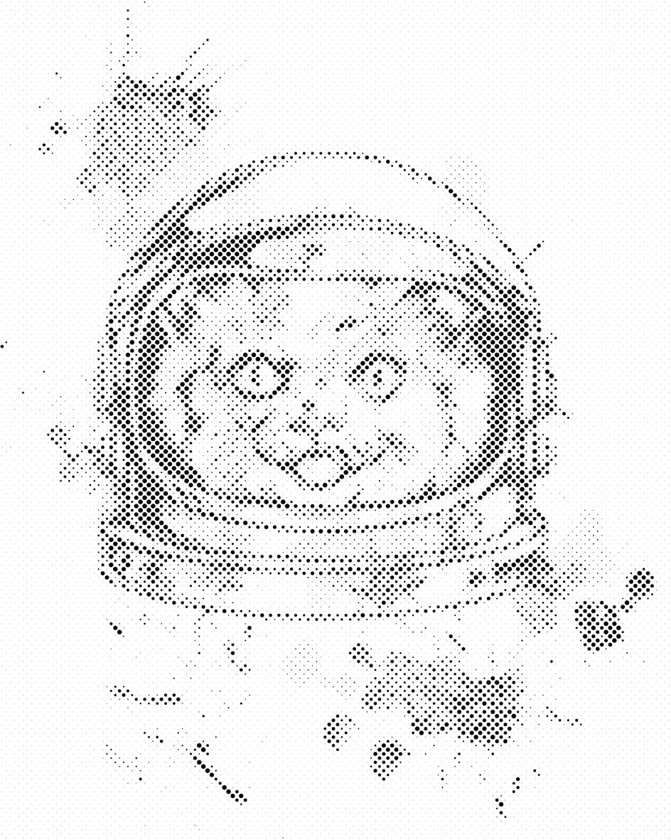 NASA Katze - Dottingo