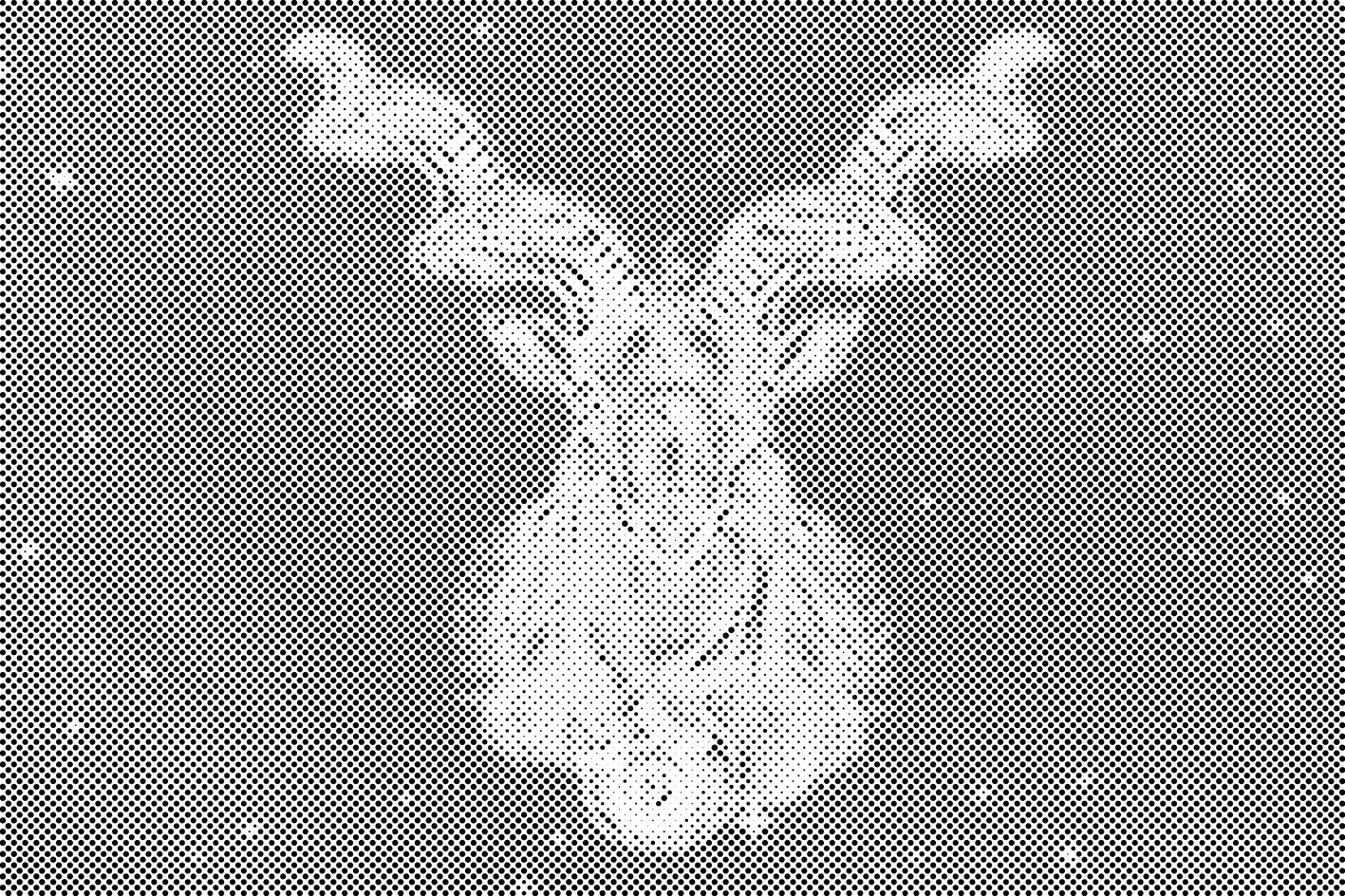 Steinbock - Dottingo