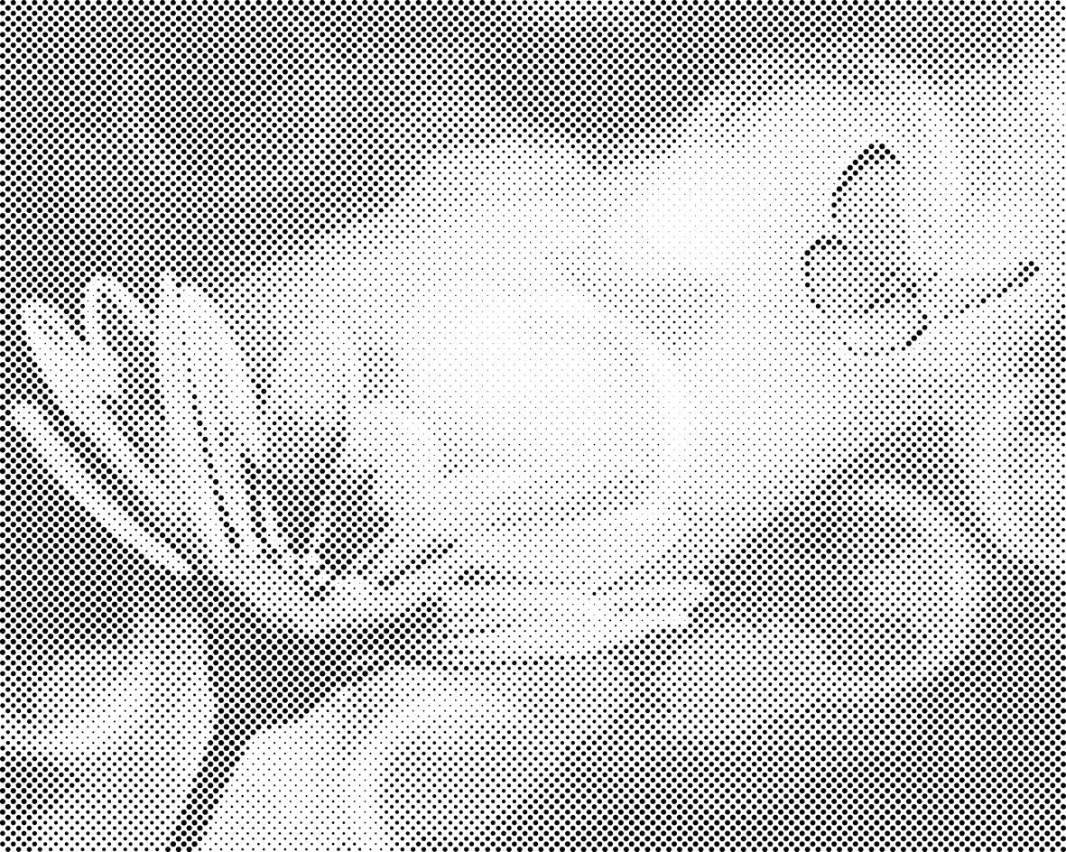 Schmetterling und Gerbera - Dottingo