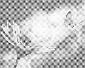 Schmetterling und Gerbera - Dottingo