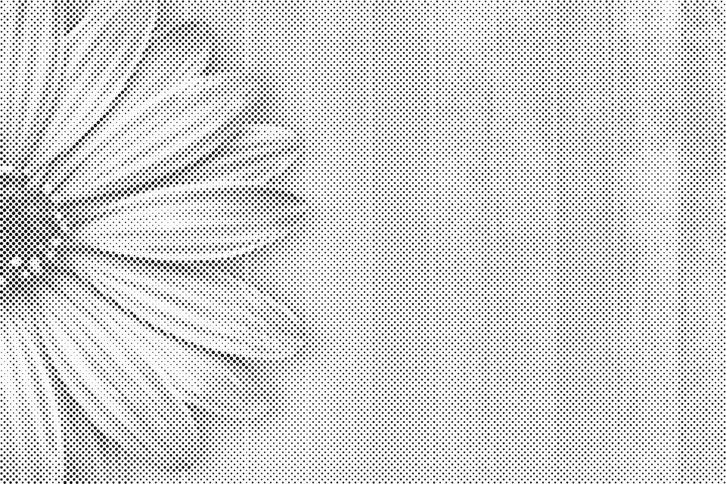 Lila Gerbera - Dottingo
