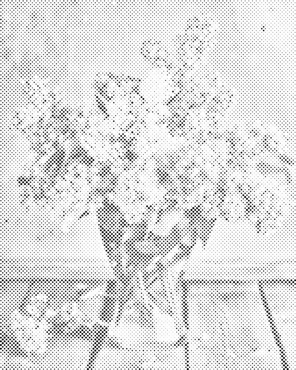 Flieder in einer Vase - Dottingo