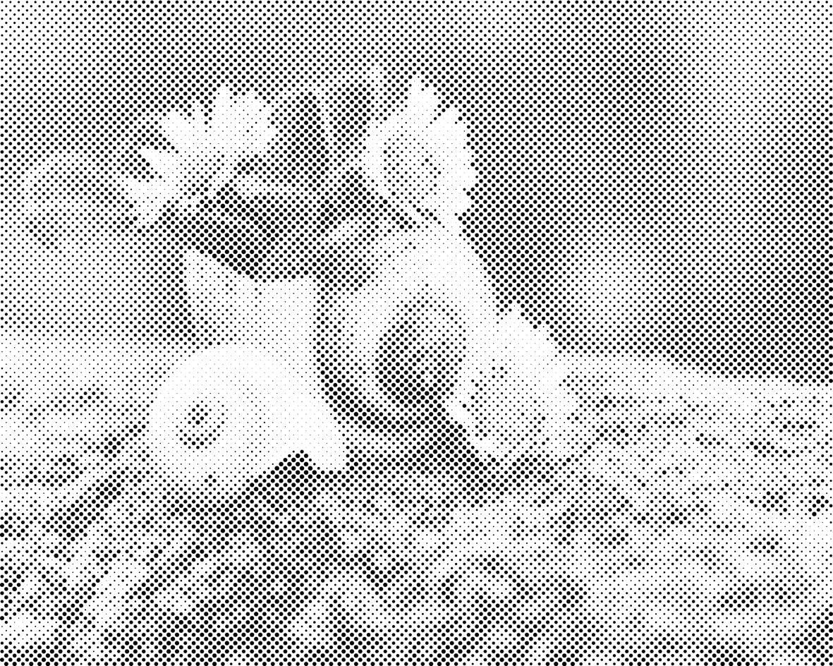 Gänseblümchen in der Muschel - Dottingo
