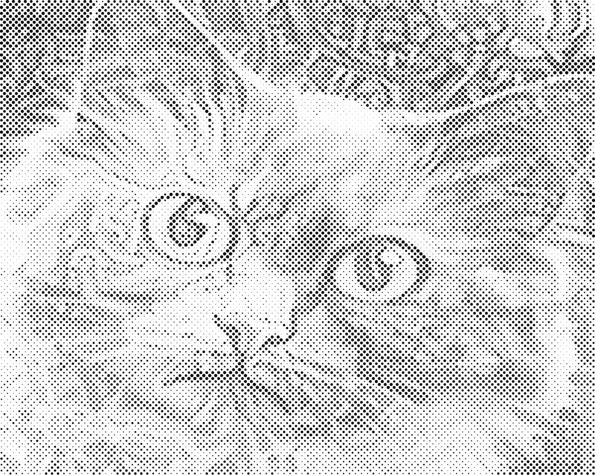 Katzenkopf 3 - Dottingo