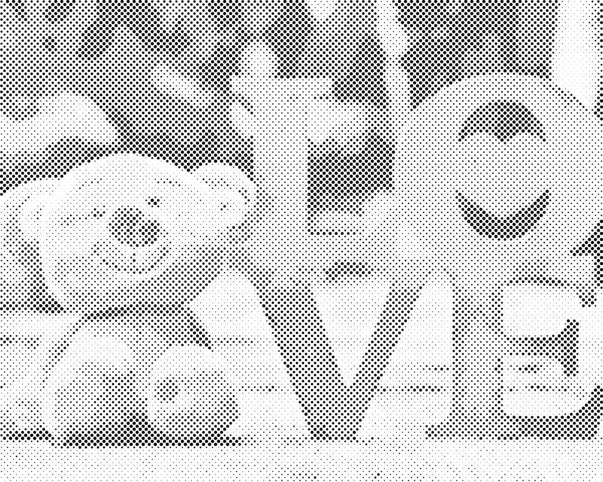Teddybär mit Inschrift - Dottingo