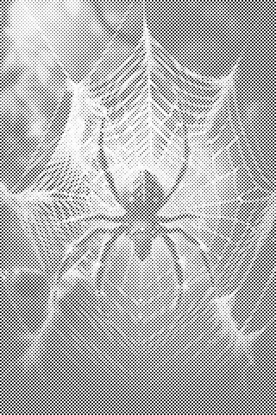 Spinne im Spinnennetz - Dottingo