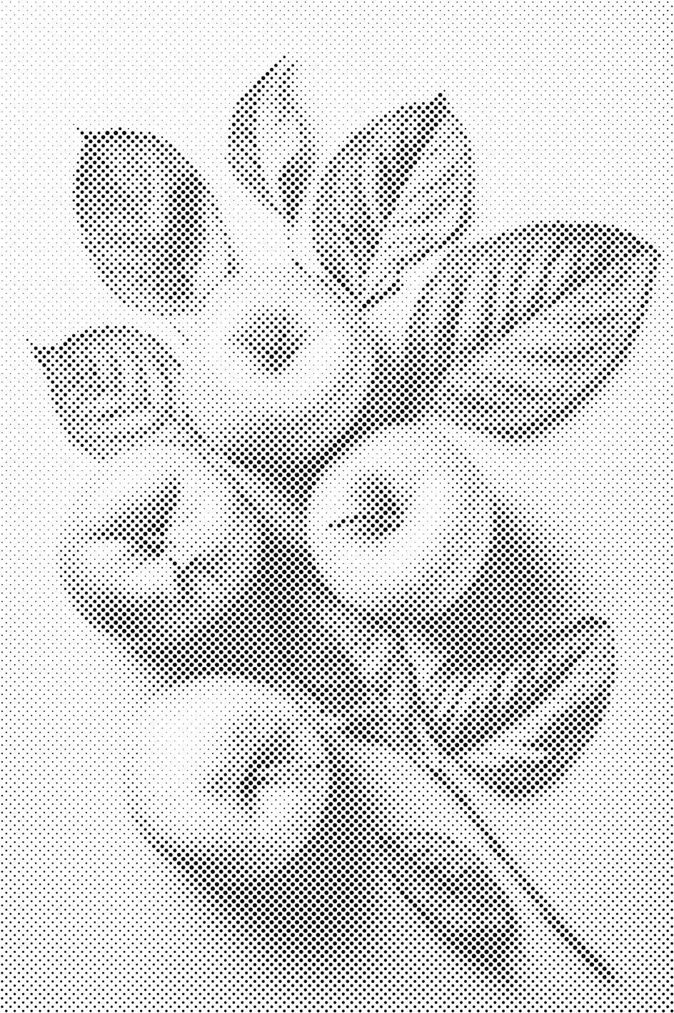 Apfel Hintergrund - Dottingo