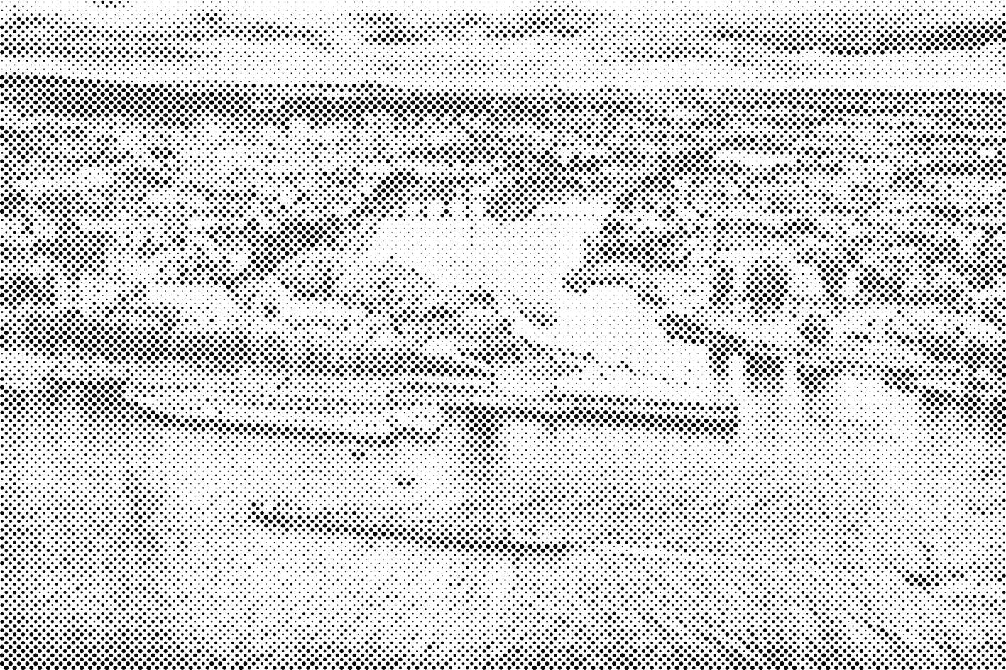 Rhein - Dottingo