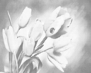 Tulpen und Marienkäfer - Dottingo