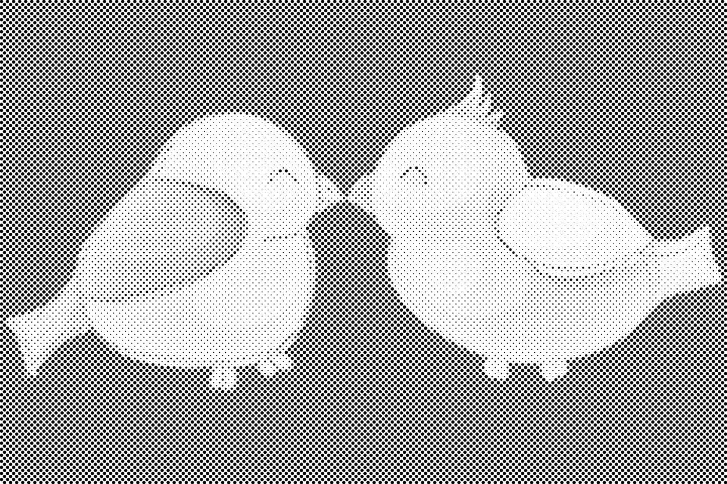 Verliebte Vögel - Dottingo