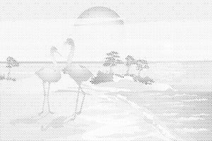 Pelikane am Strand - Dottingo