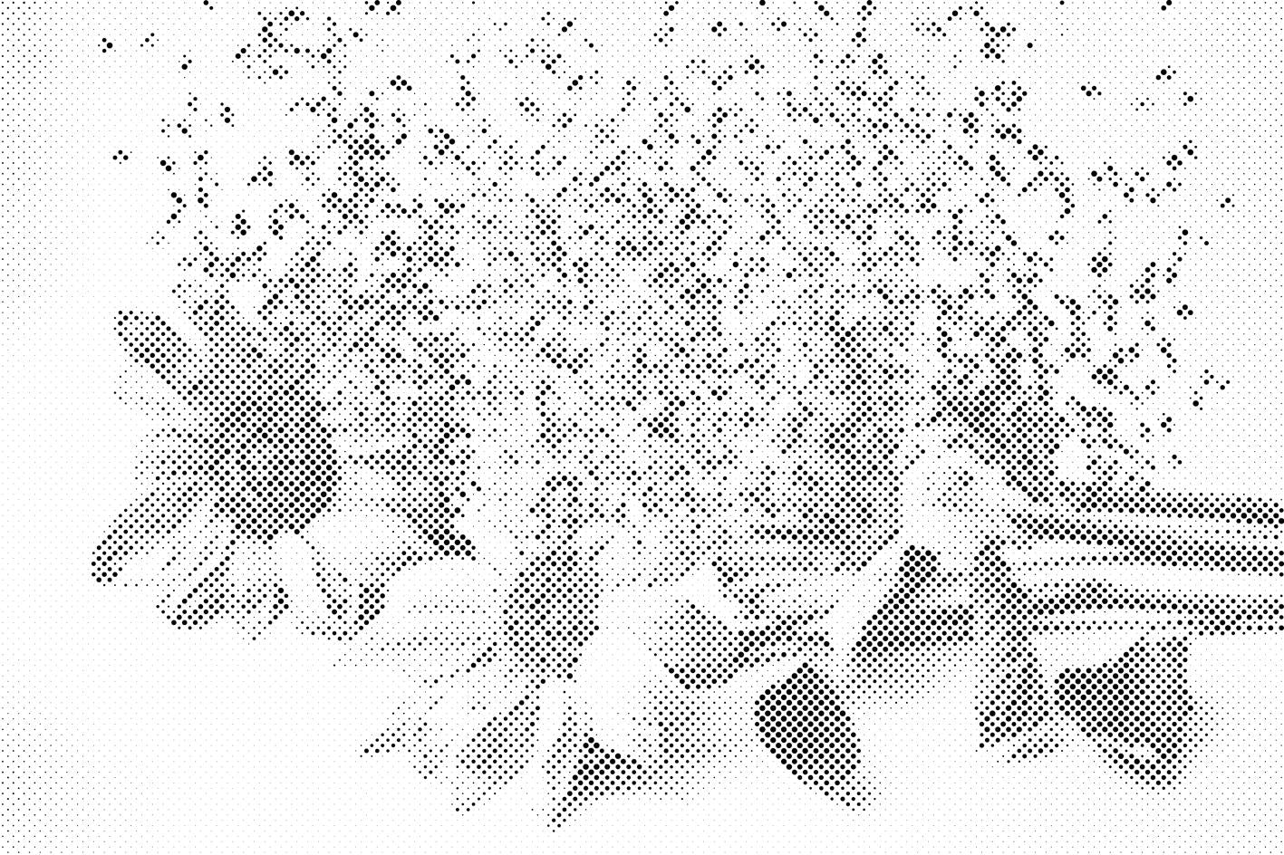 Sonnenblumen im Wind - Dottingo