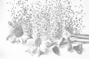 Sonnenblumen im Wind - Dottingo