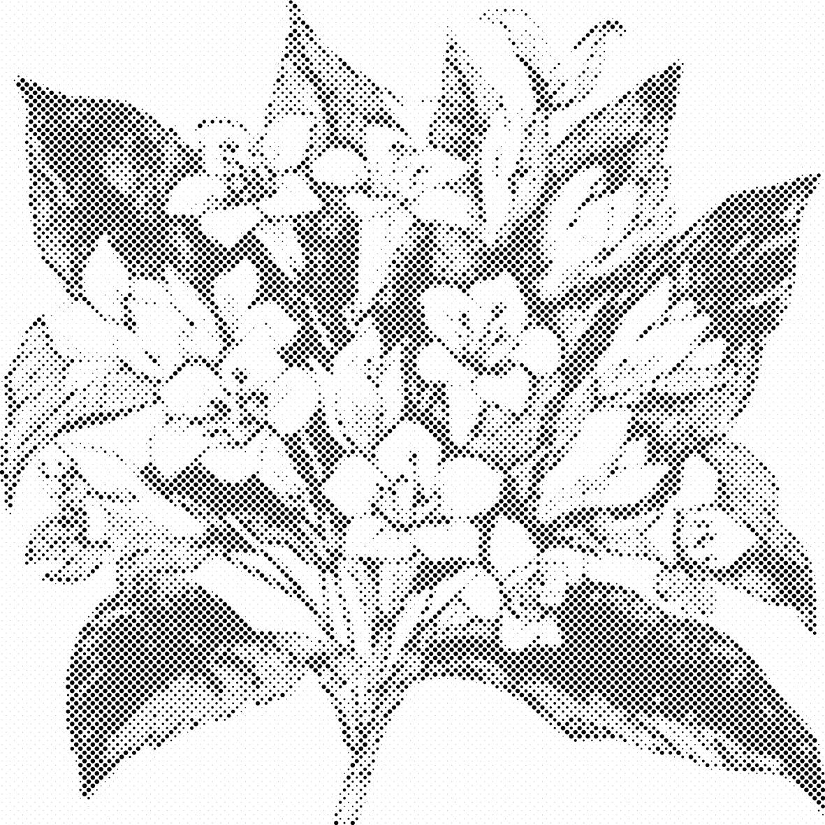Blumenstrauß - Dottingo