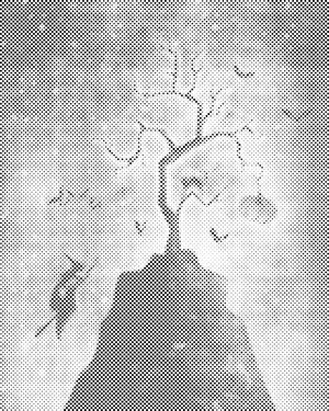 Hexenzirkel - Dottingo