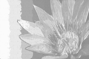 Gemalte Blume - Dottingo