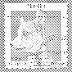 Hunde Briefmarke - Dottingo