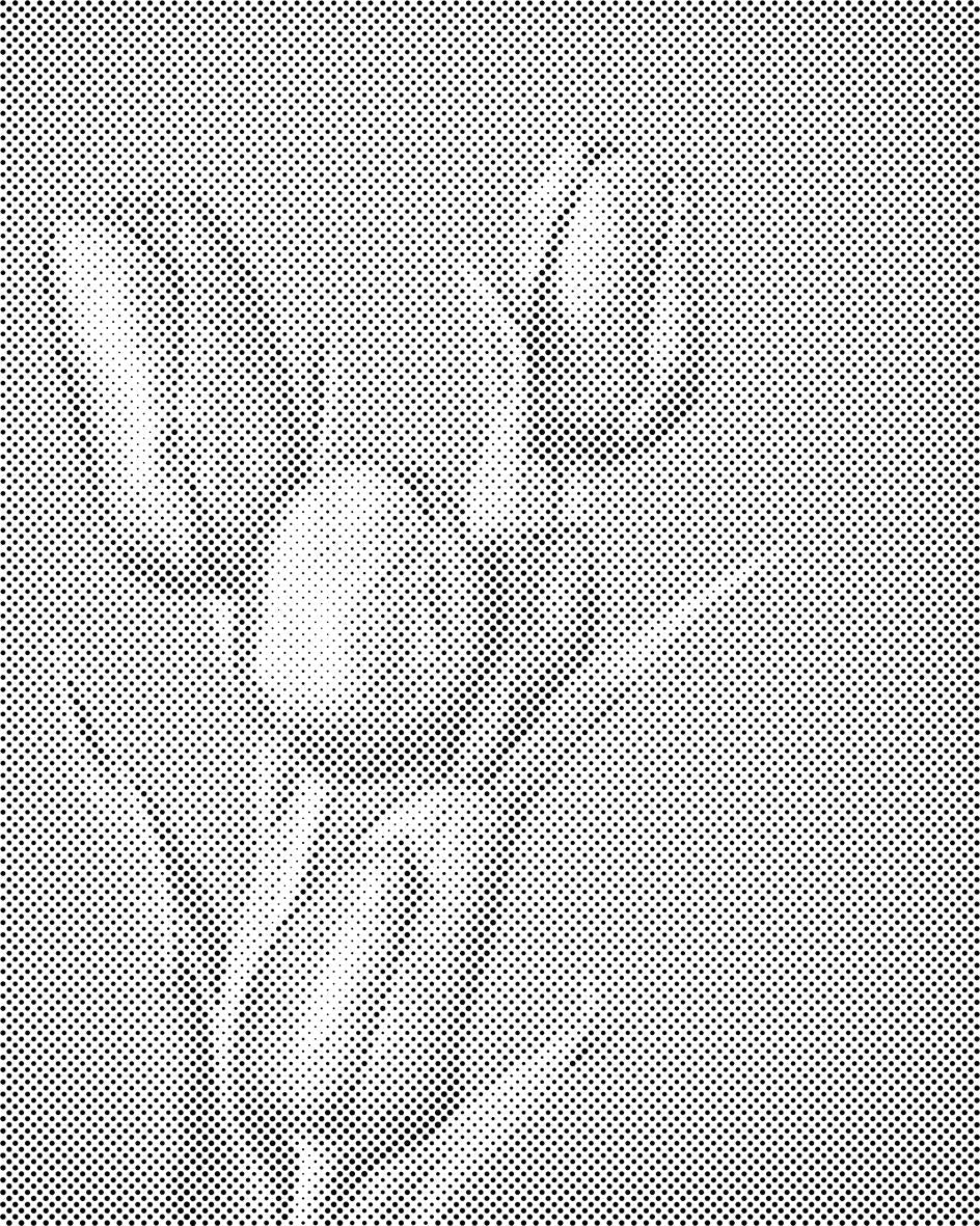 Lila Tulpen - Dottingo