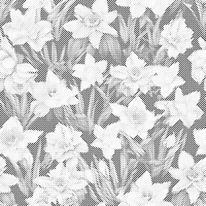 Blumiger Hintergrund - Narzissen - Dottingo