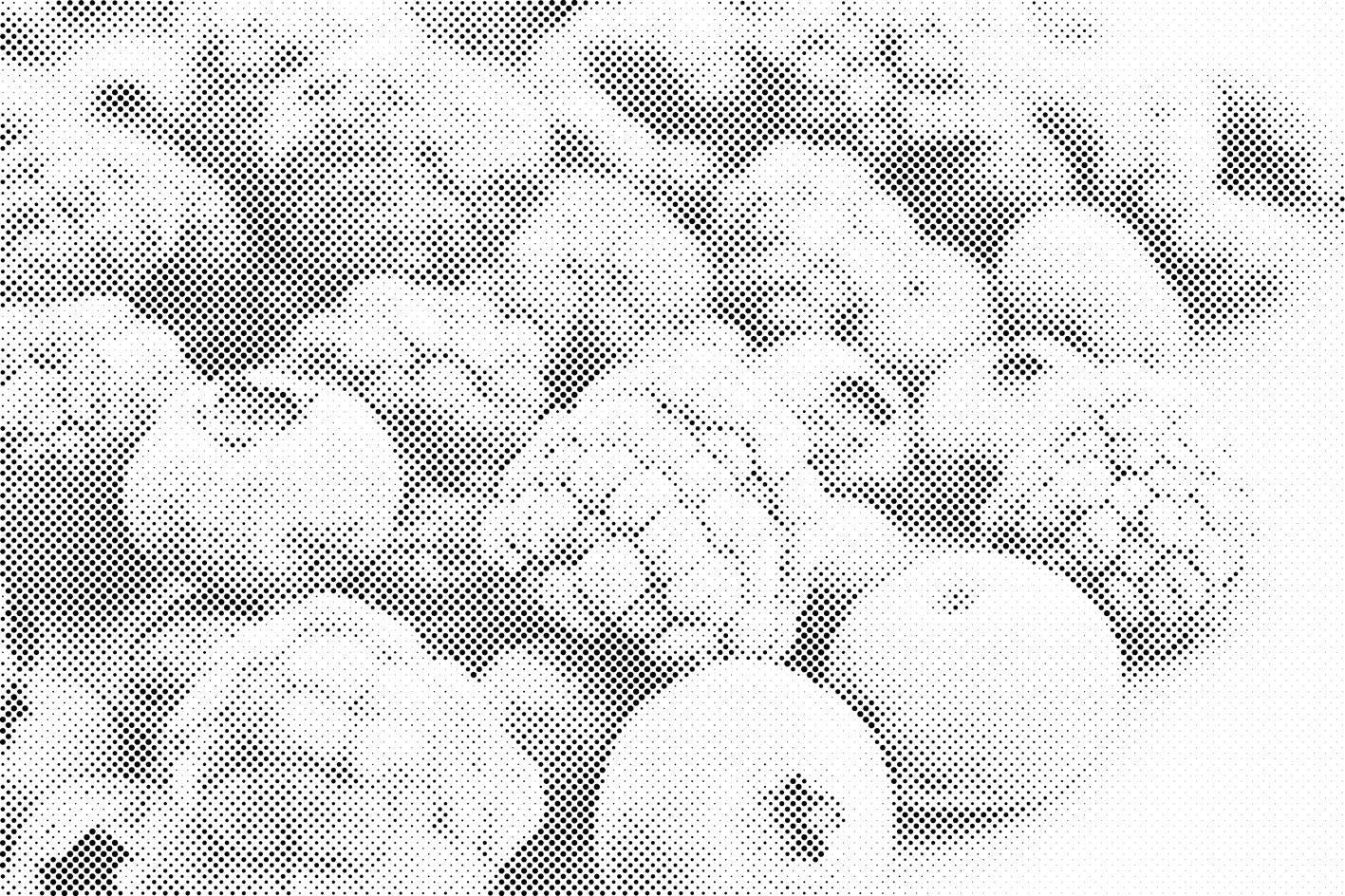 Gefrorene Früchte - Dottingo
