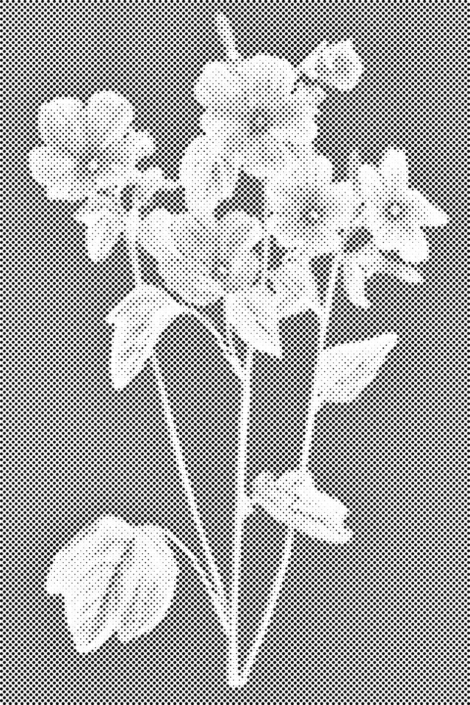 Vintage Blumen - Dottingo