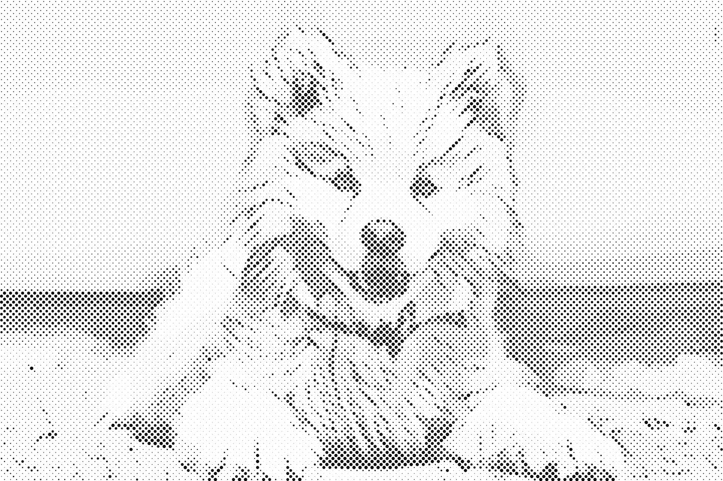 Fröhlicher Hund - Dottingo