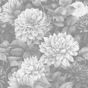 Blumiger Hintergrund - Dahlien - Dottingo